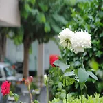 Yiorgos