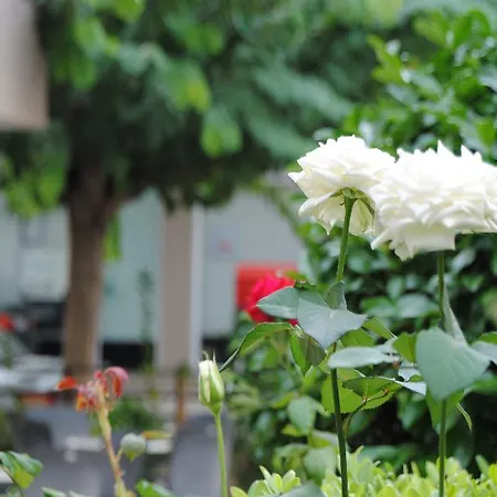 Yiorgos Hotel